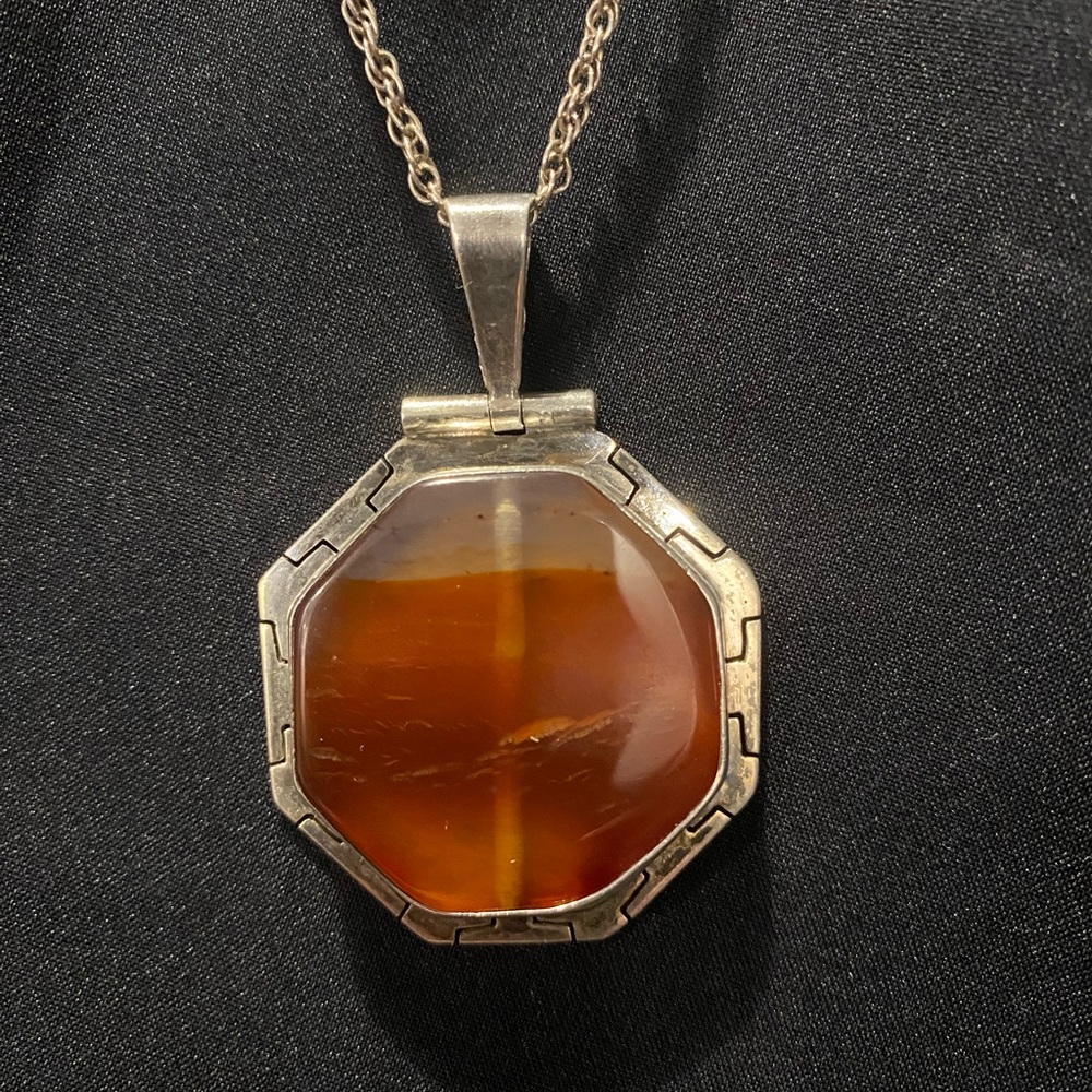 Rare Fossilized Amber Sterling Pendant with 20” Sterling Chain - Unique